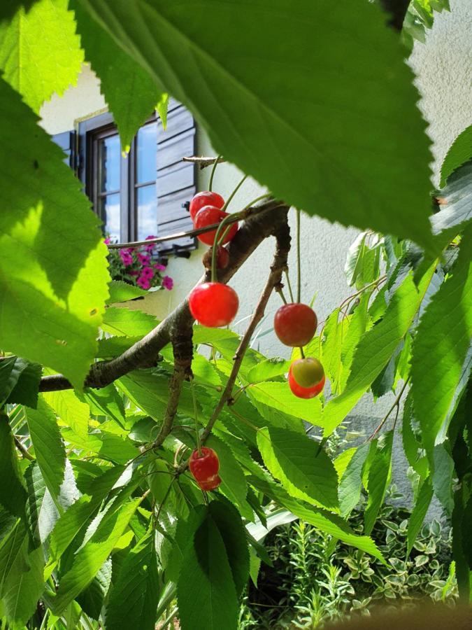 Holiday Home Demark Jurdani Εξωτερικό φωτογραφία