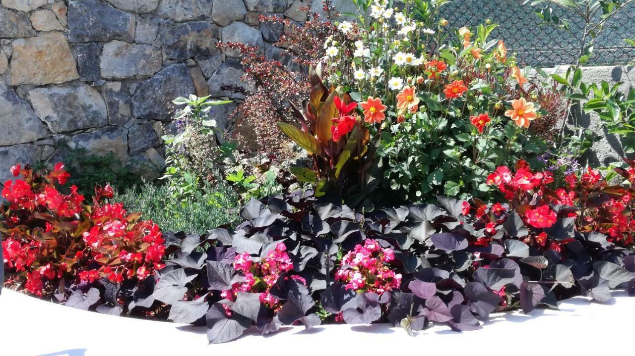Holiday Home Demark Jurdani Εξωτερικό φωτογραφία
